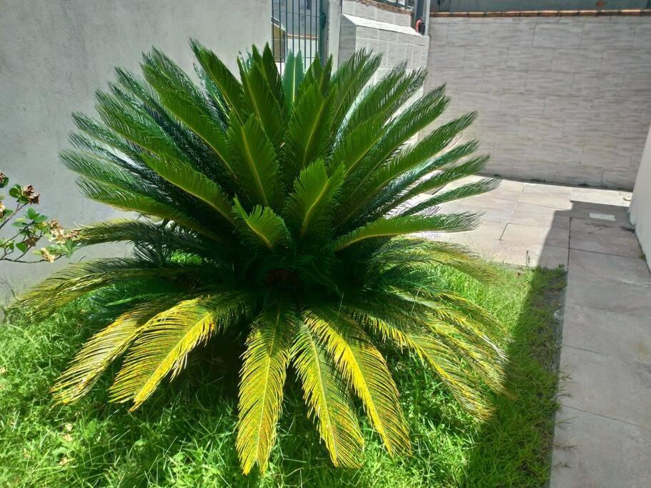 Casa agradável em Camboriú com estacionamento no pátio Villa Esterno foto